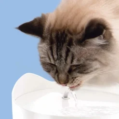 Catit Pixi Drikkefontæne i Blå