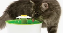 Catit Senses 3.0 Flower Fountain (drikkeautomat)