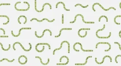 Catit Senses 2.0 Wave circuit