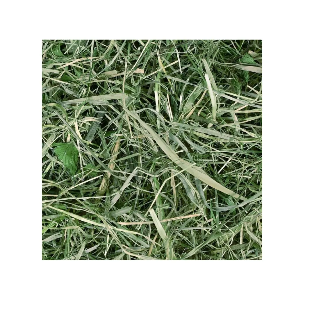CHIPSI CLASSIC Chipsi Sunshine Timothy Hø 800 g