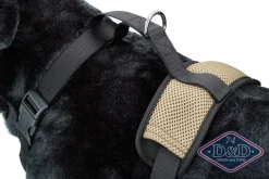 Europet Bernina International B.V. D & D All Season Hundesele XL - Hals 60-86 cm livvidde 68-94 cm