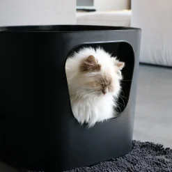 D&D Home D&D CAT Kattetoilet DEAN - Stilrent - rummeligt og miljøvenligt