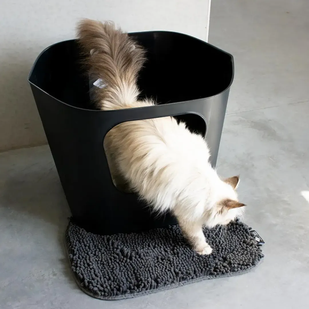 D&D Home D&D CAT Kattetoilet DEAN - Stilrent - rummeligt og miljøvenligt