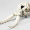 MiniZoo Decor elefant kranie