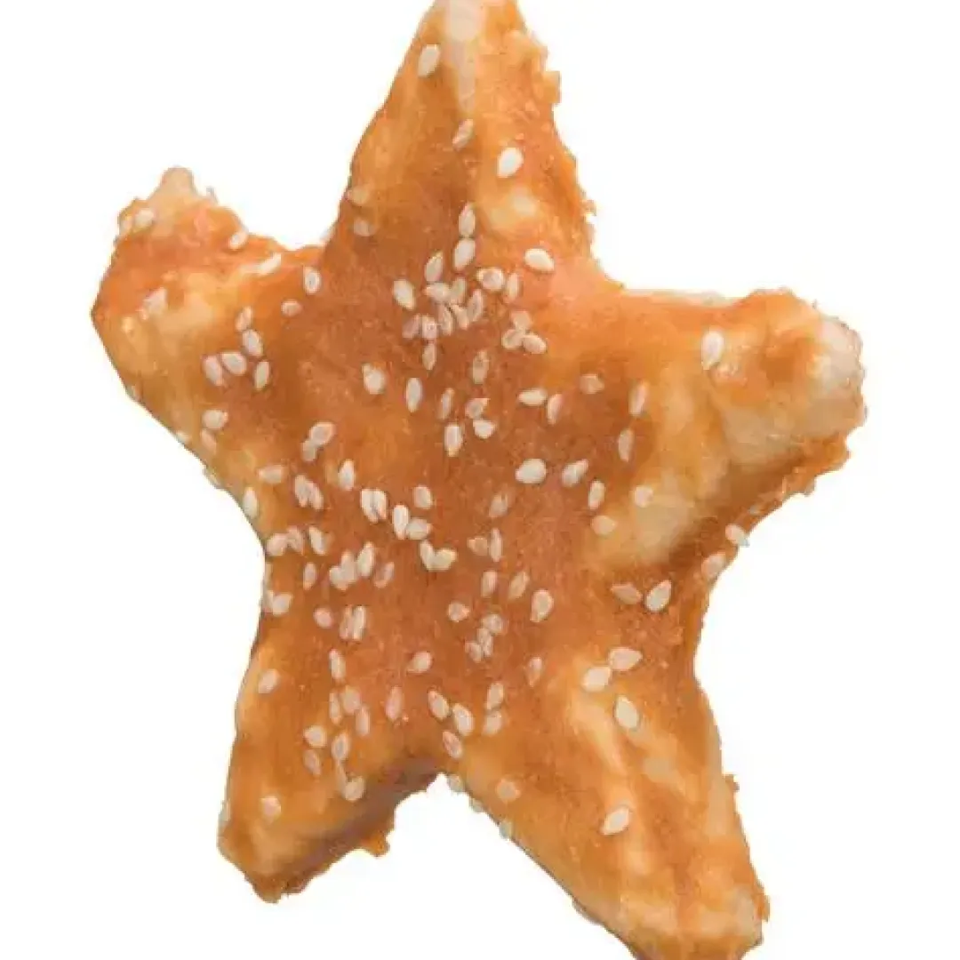 Trixie Denta Fun Stjerne Kyllingesnack 9 cm - sjov hundesnack med kylling