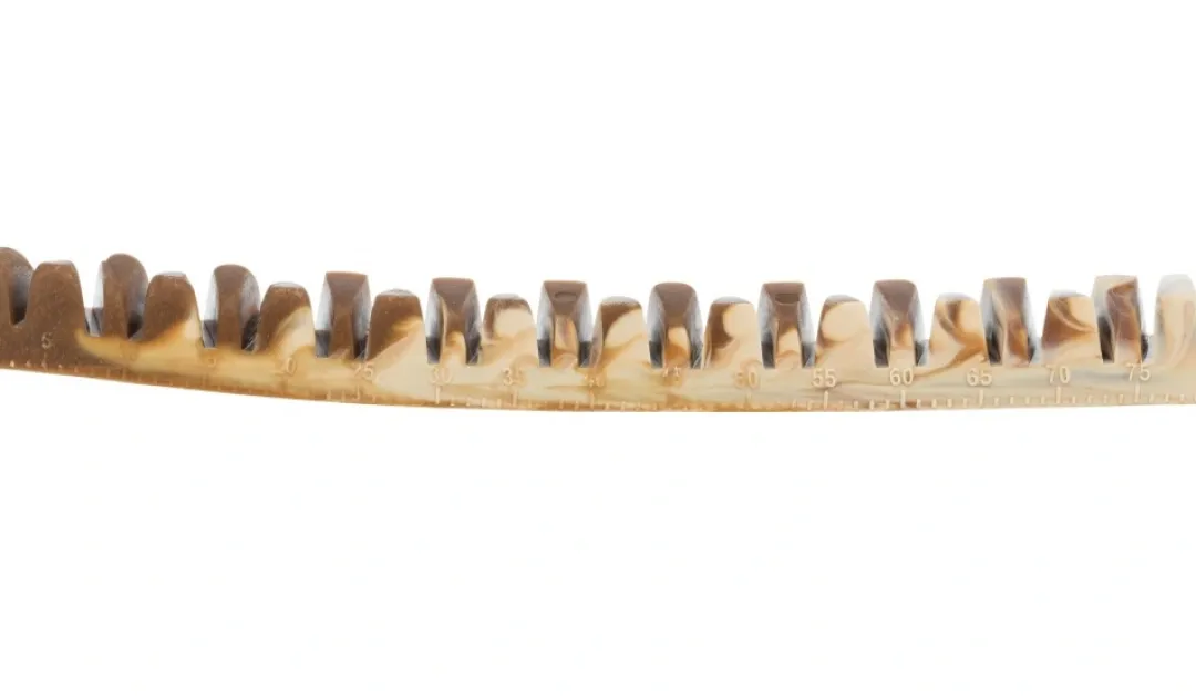 Trixie Denta Fun Veggie Tyggeben 22 cm (vegetabilsk) - stort vegansk tyggeben til hunde