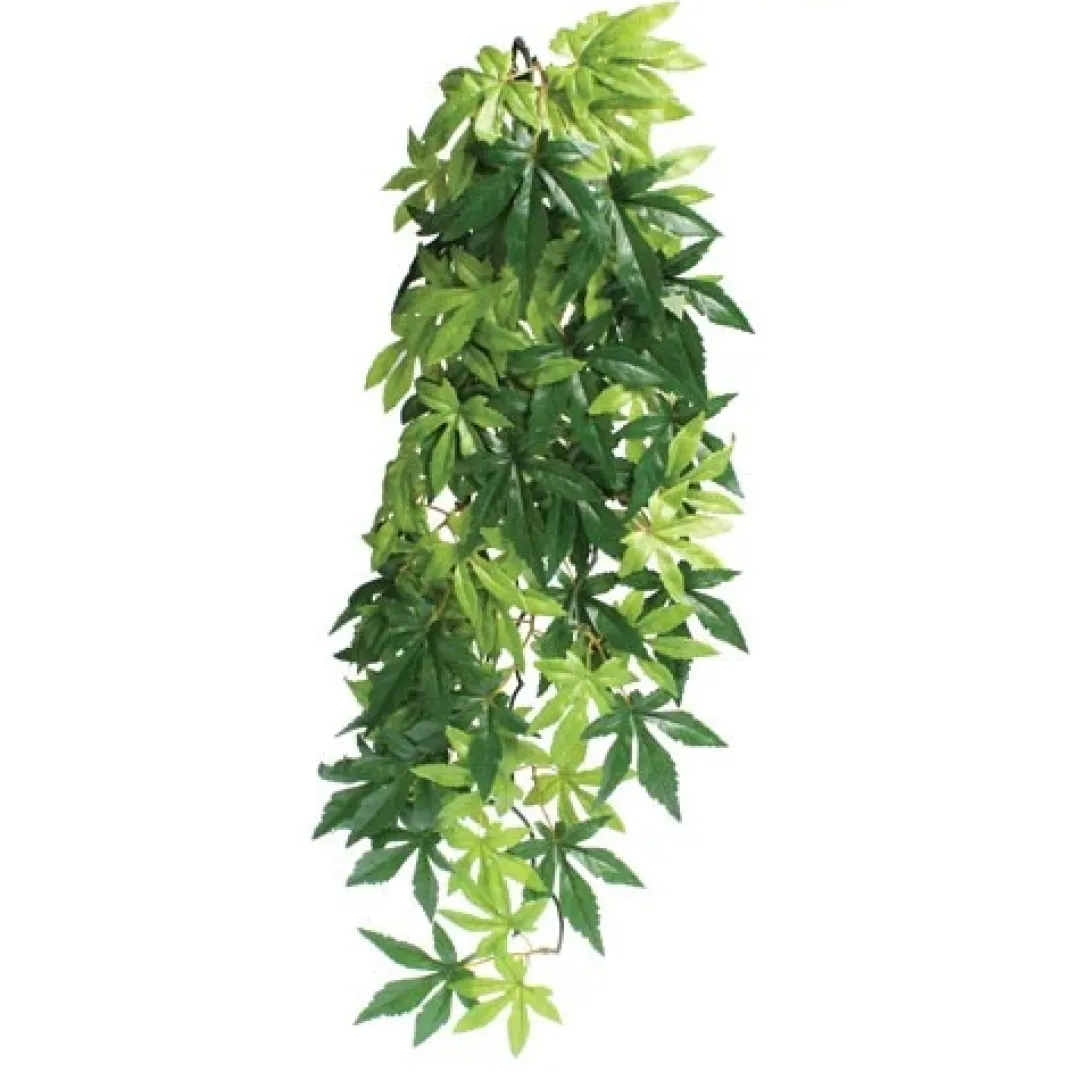 ExoTerra Exo Terra Abuliton stor