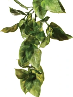 ExoTerra Exo Terra Amapallo lille