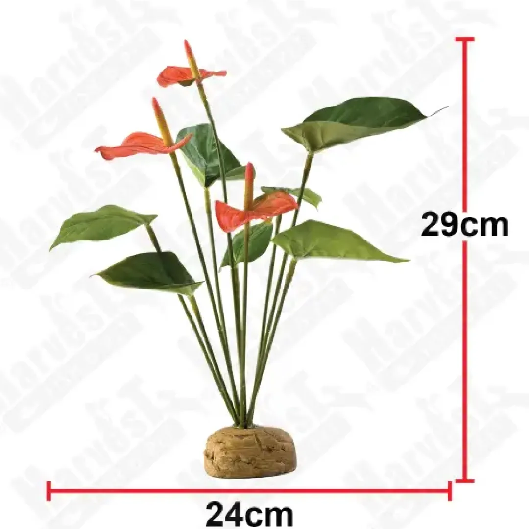 ExoTerra Exo Terra Anthurium bush