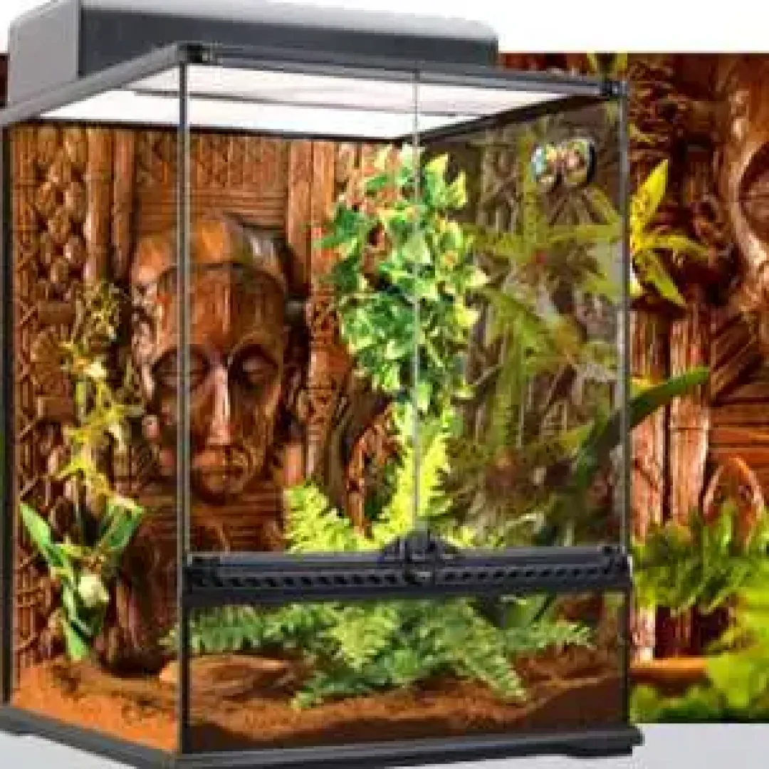 ExoTerra Exo Terra Boston Fern (lille)
