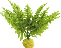ExoTerra Exo Terra Boston Fern (lille)