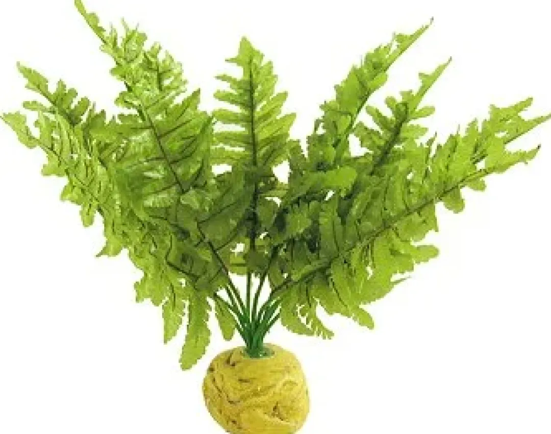 ExoTerra Exo Terra Boston Fern (lille)