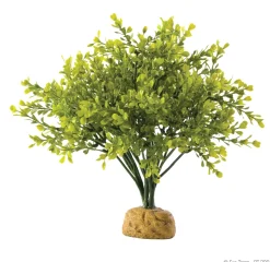 ExoTerra Exo Terra Boxwood bush
