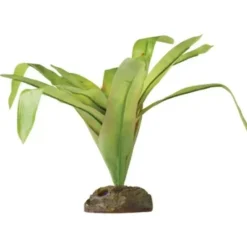 ExoTerra Exo Terra Bromelia Medium