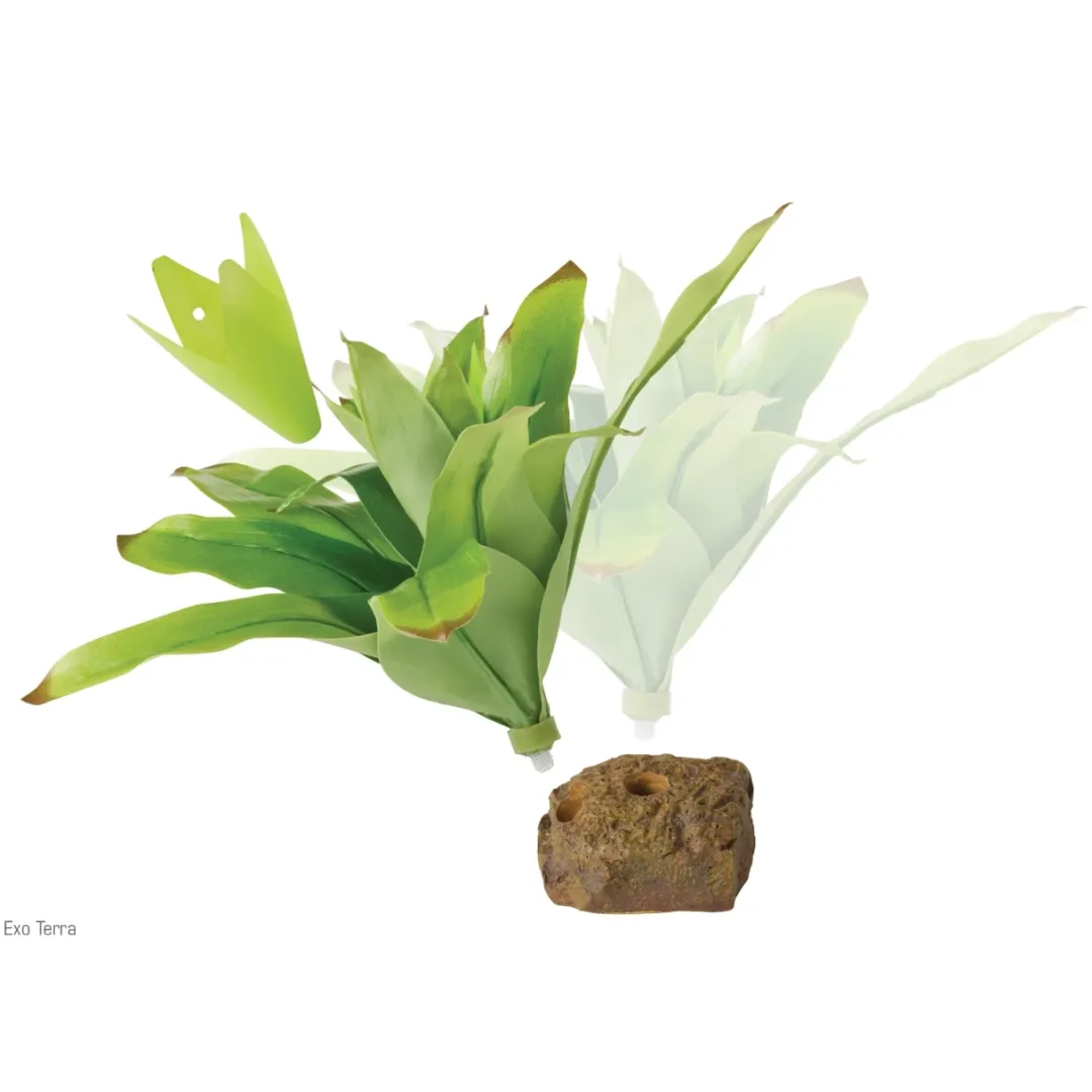ExoTerra Exo Terra Bromelia Medium
