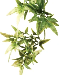 ExoTerra Exo Terra Croton medium