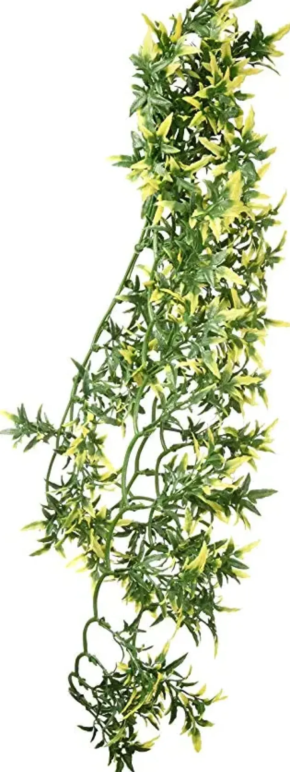 ExoTerra Exo Terra Croton stor