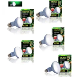 ExoTerra Exo Terra Day Glo Spot 25 watt med UVA