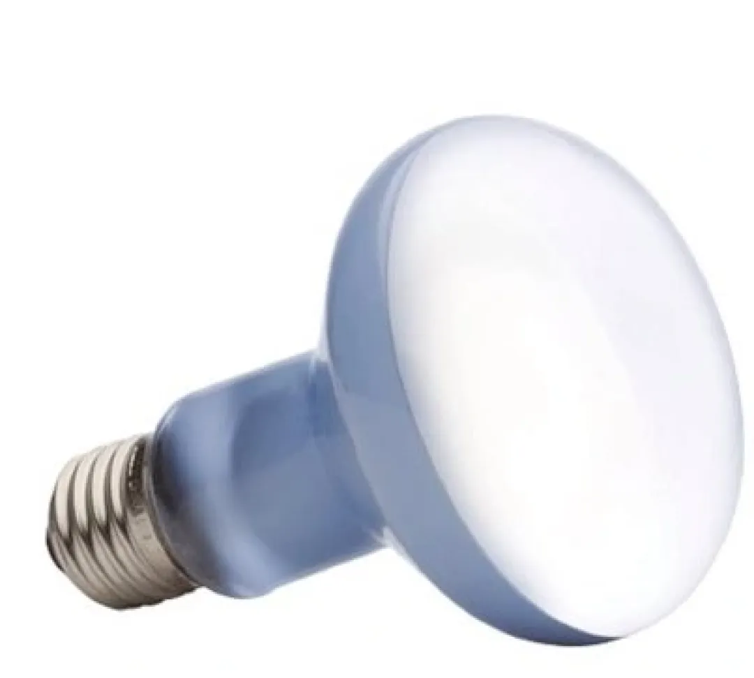 ExoTerra Exo Terra Day Glo Spot 75 w med UVA