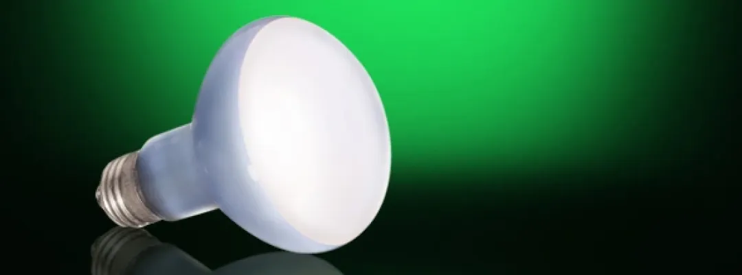 ExoTerra Exo Terra Day Glo Spot 75 w med UVA