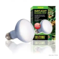 ExoTerra Exo Terra Day Glo Spot 75 w med UVA