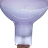 ExoTerra Exo Terra Day Glo Spot 150 w med UVA
