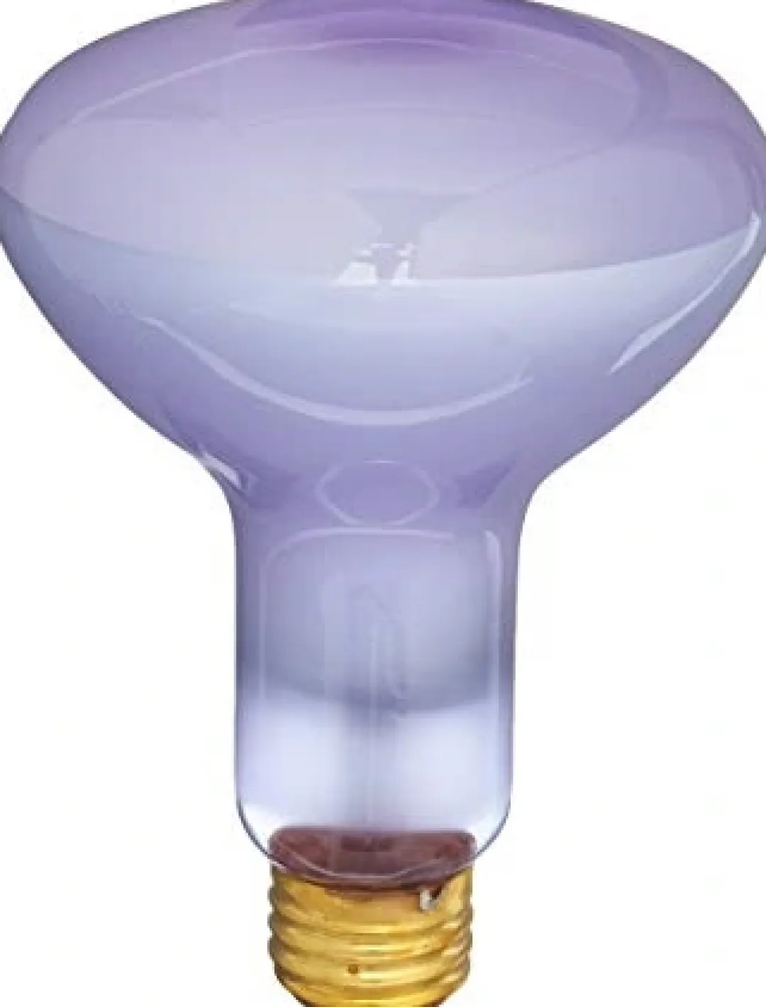 ExoTerra Exo Terra Day Glo Spot 150 w med UVA