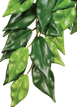 ExoTerra Exo Terra Ficus medium