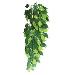 ExoTerra Exo Terra Ficus stor