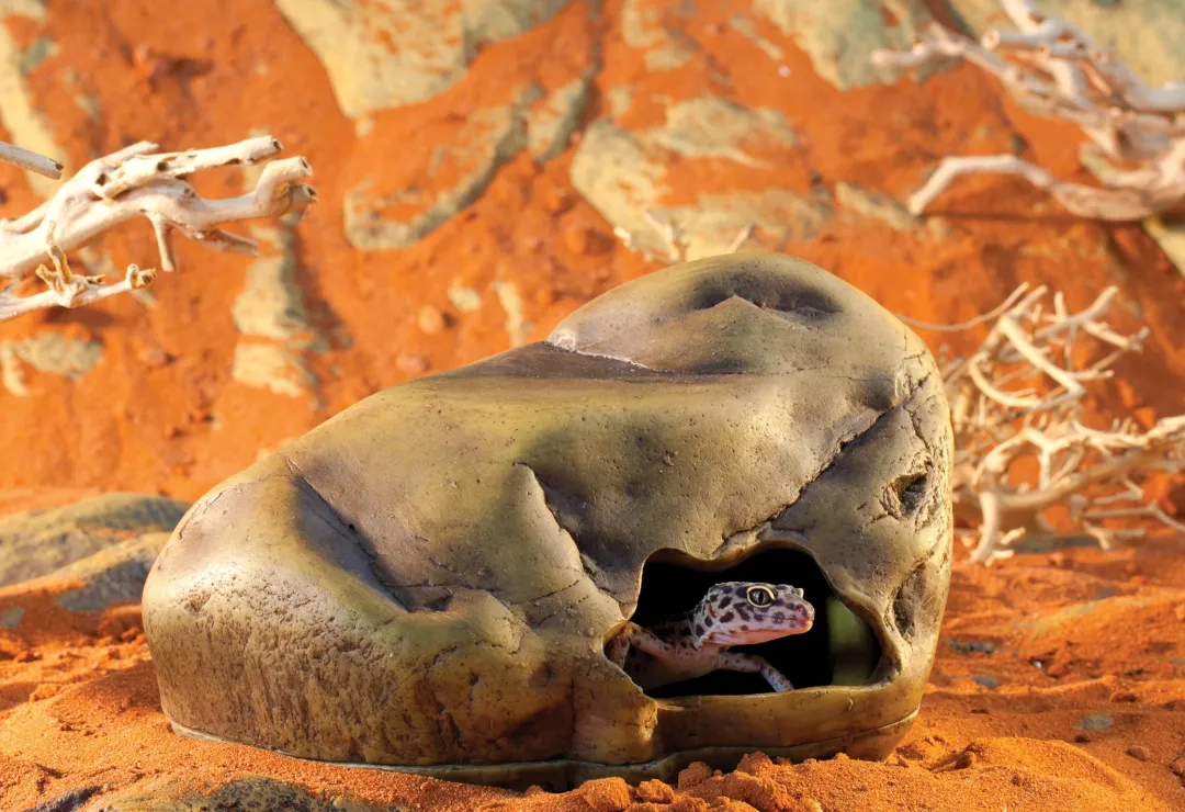 ExoTerra Exo Terra Gecko Hule stor