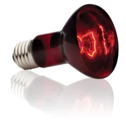 ExoTerra Exo Terra Heat Glo Infrarød spot 50 Watt