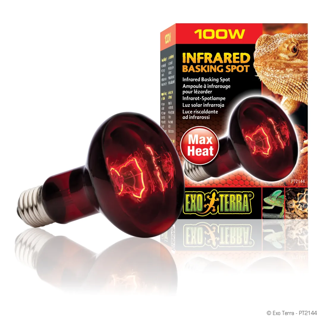 ExoTerra Exo Terra Heat Glo Infrarød spot 100 w