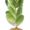 ExoTerra Exo Terra Jade kaktus
