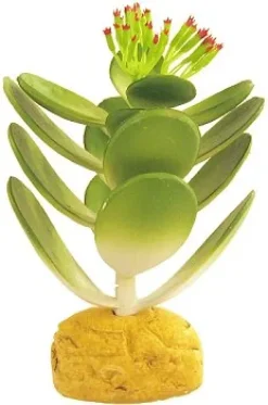 ExoTerra Exo Terra Jade kaktus