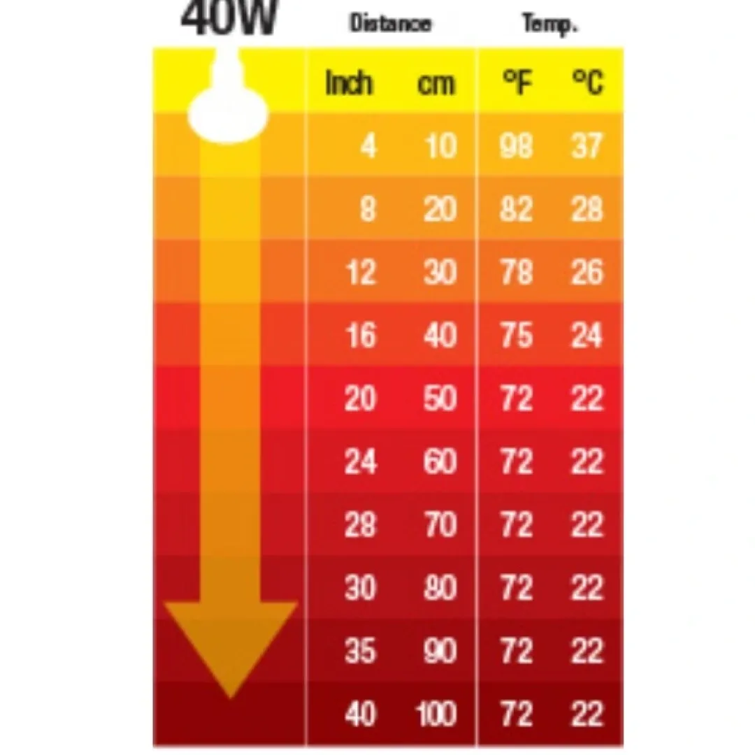 ExoTerra Exo Terra Kernevarmepære 40 w