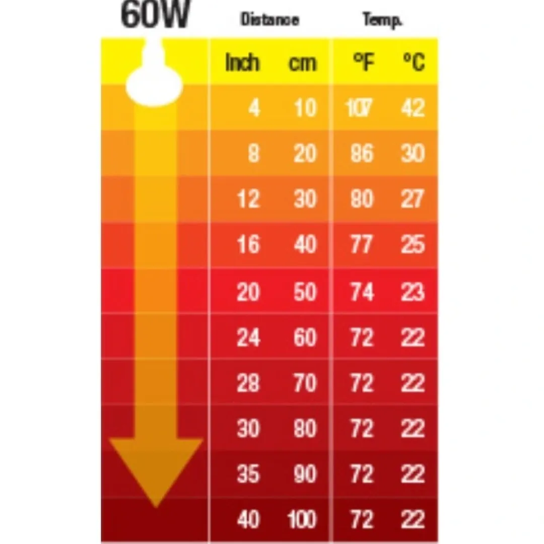 ExoTerra Exo Terra Kernevarmepære 60 w