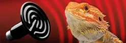 ExoTerra Exo Terra Kernevarmepære 250 w
