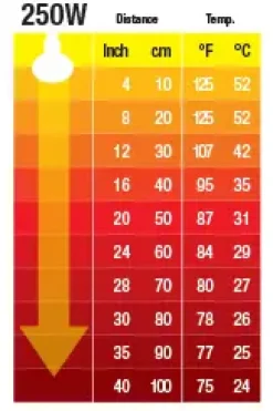 ExoTerra Exo Terra Kernevarmepære 250 w