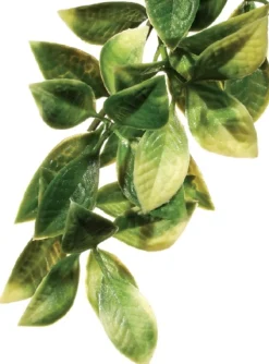 ExoTerra Exo Terra Mandarin lille