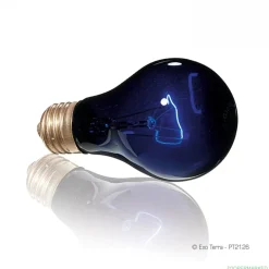 ExoTerra Exo Terra Night Glo 75 w