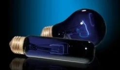 ExoTerra Exo Terra Night Glo 75 w