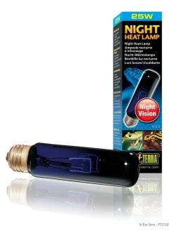ExoTerra Exo Terra Night Glo 25 watt.