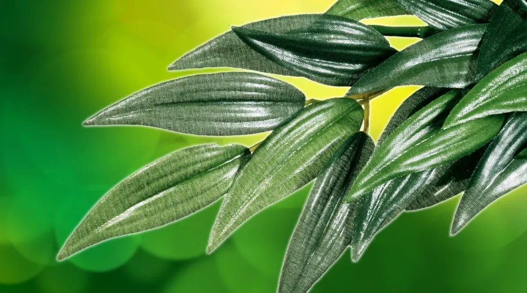 ExoTerra Exo Terra Ruscus lille