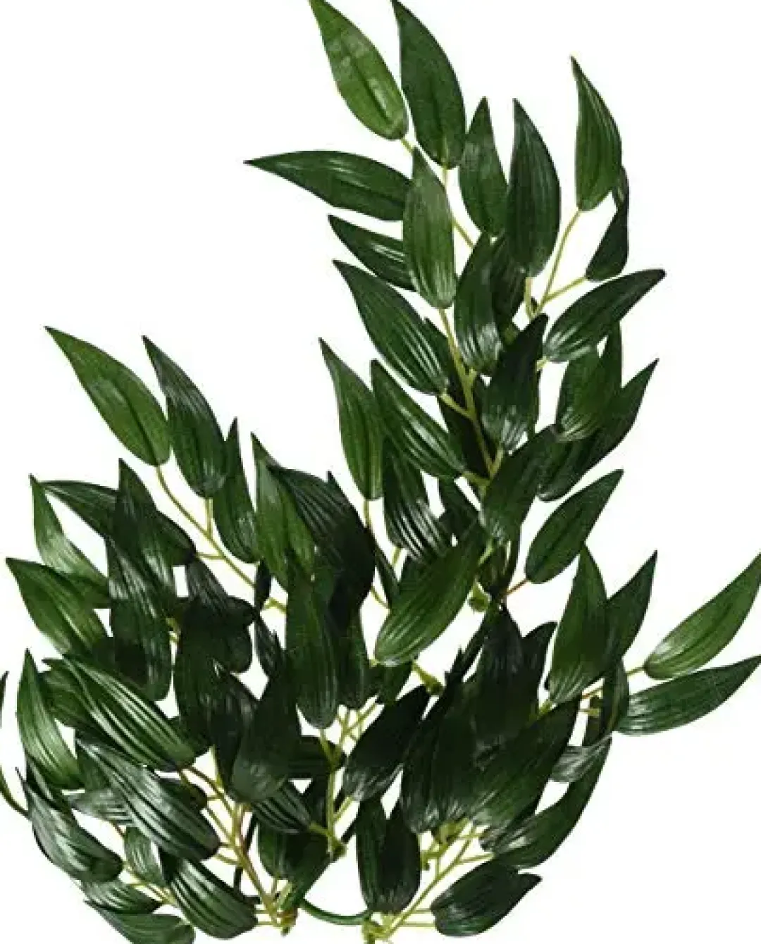 ExoTerra Exo Terra Ruscus medium