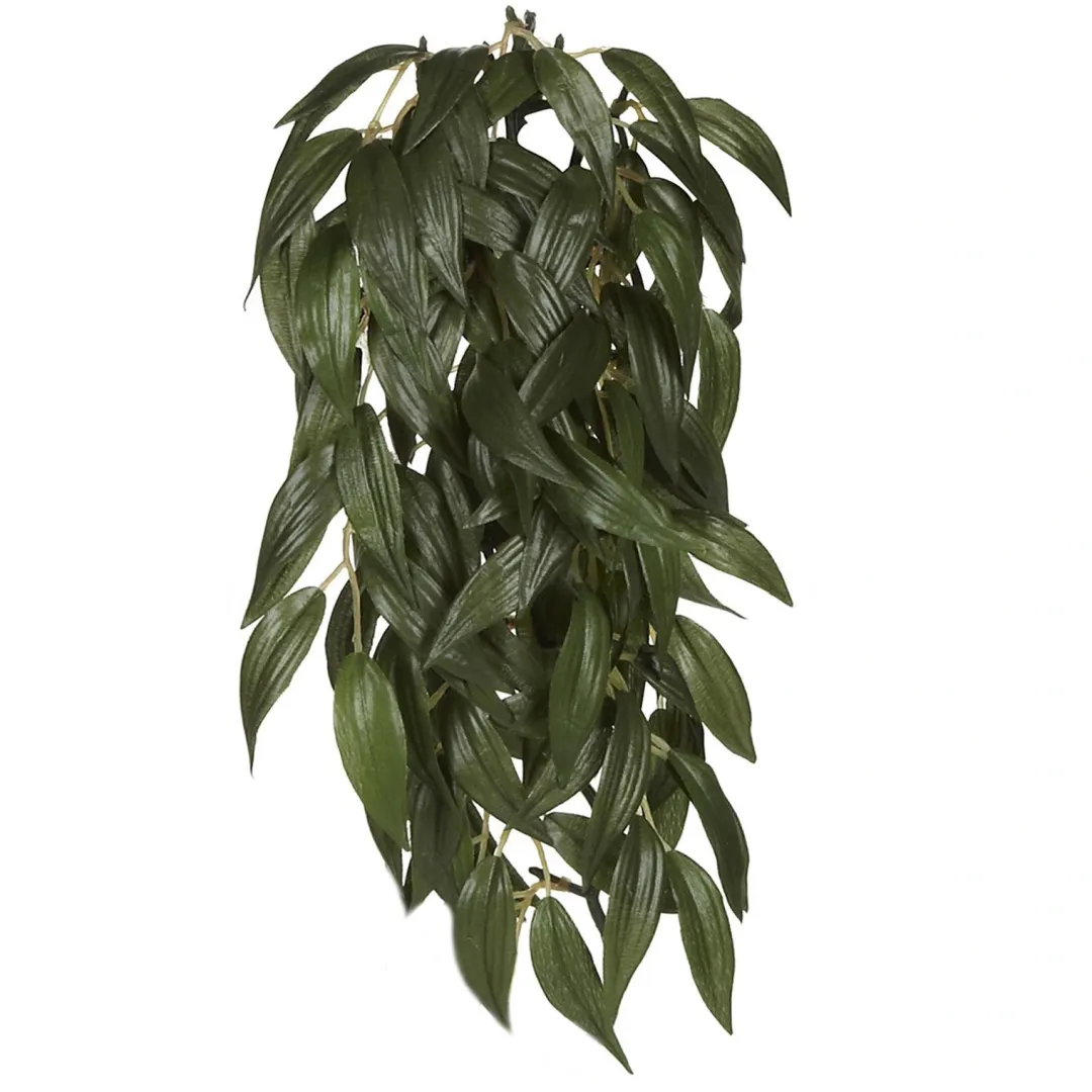 ExoTerra Exo Terra Ruscus medium