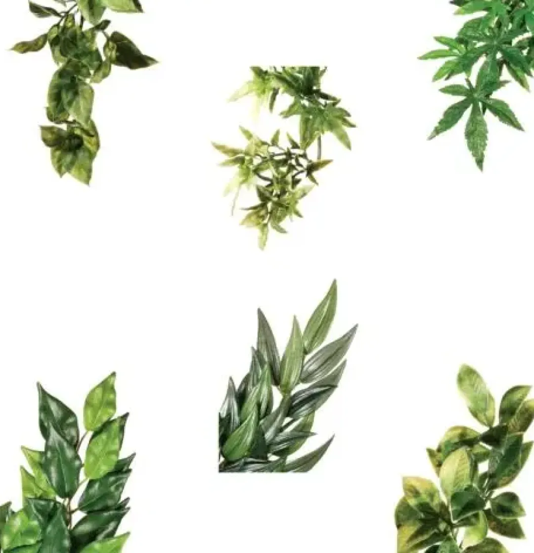 ExoTerra Exo Terra Ruscus stor
