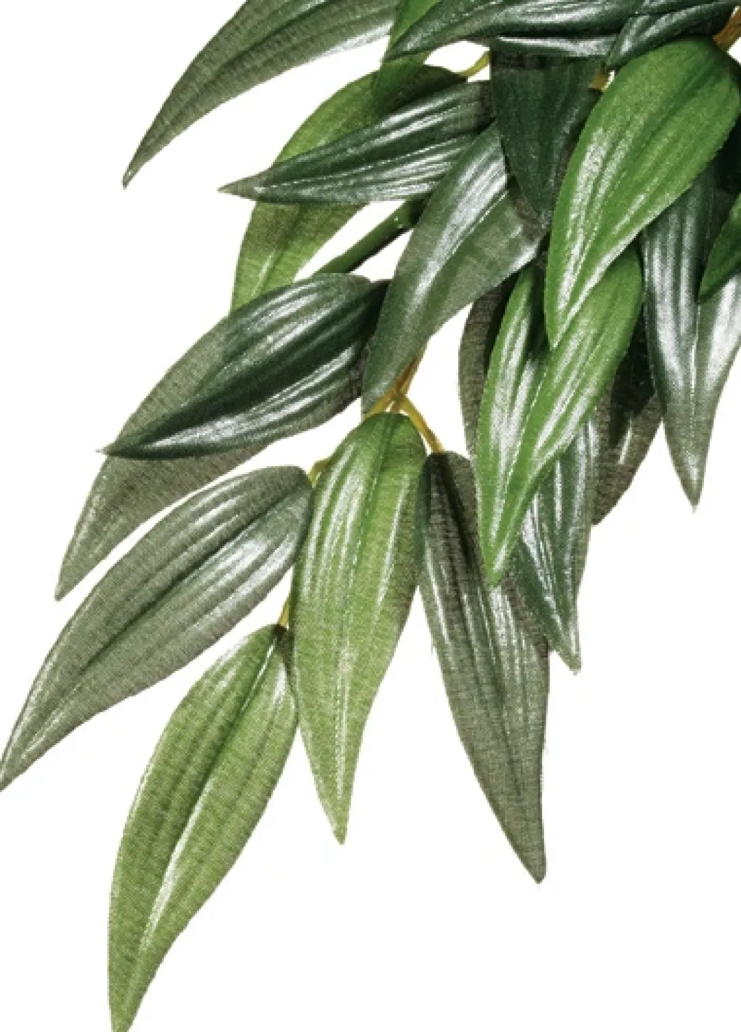 ExoTerra Exo Terra Ruscus stor