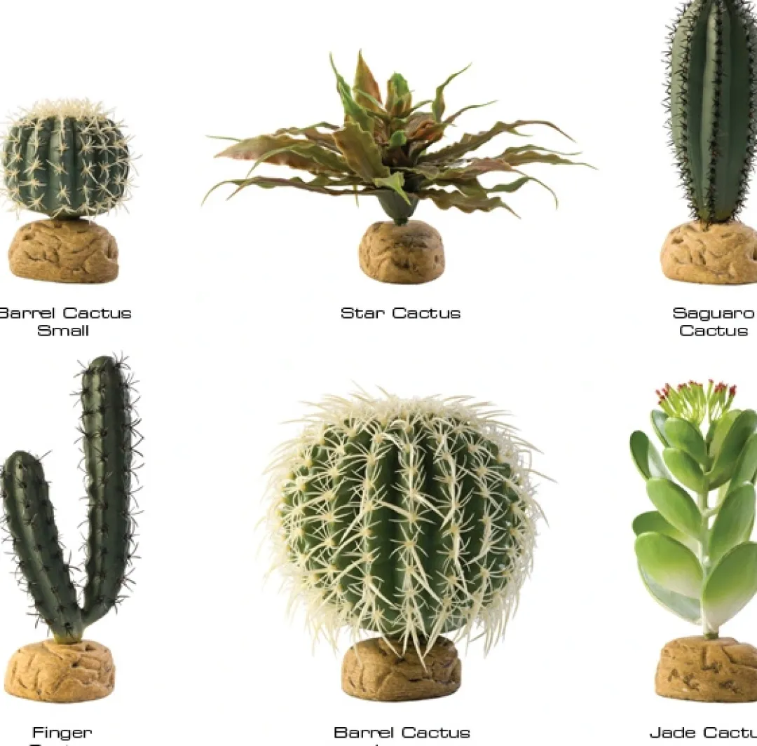 ExoTerra Exo Terra Saguaro kaktus