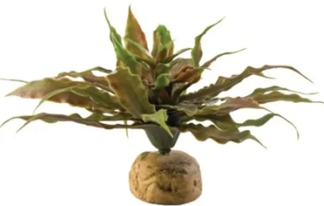 ExoTerra Exo Terra Star Cactus