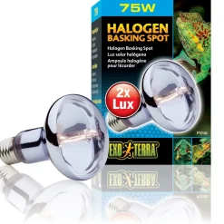 ExoTerra Exo Terra Sun Glo Halogen 75 w